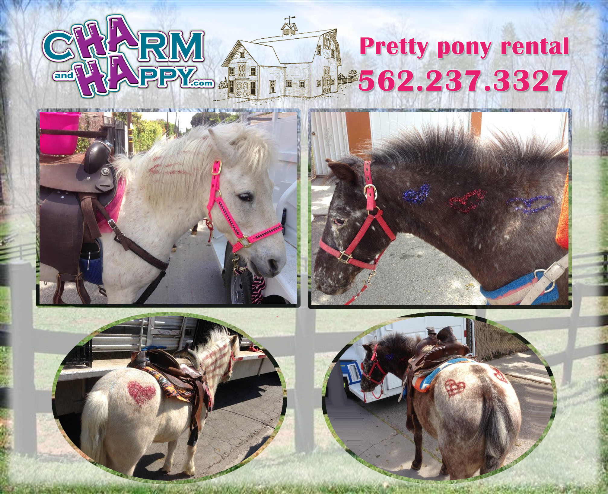 pony rides petting zoo rental los angeles whittier socal charmandhappy carmen tellez year of the horse 2014 party rental