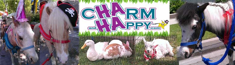 Shetlan ponies los angeles party rental for birthday rides private parties Los Angeles Montebello Whittier El Monte San Bernardino birthday party entertainment and school district events company picnics petting zoo los angeles school events whittier san bernardino long beach covine