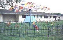 swinging whoo hoo