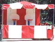 popular party themes