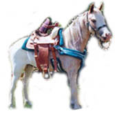 pony ride