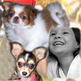 Our local breeder enjoys visiting birthdays, libraries, daycare centers in Southern California