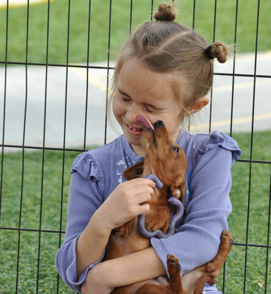 puppy party rental CharmandHappy.com irvine